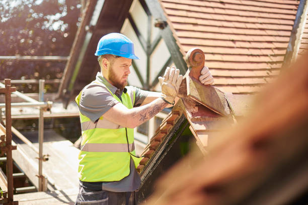 Best Roof Gutter Cleaning  in Walton Park, NY