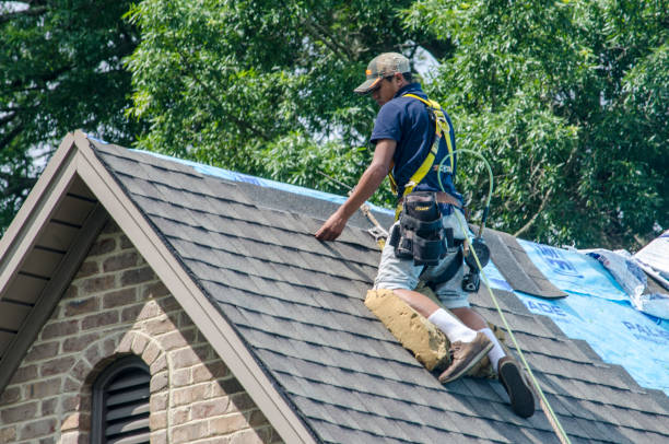 Best Metal Roofing Contractor  in Walton Park, NY